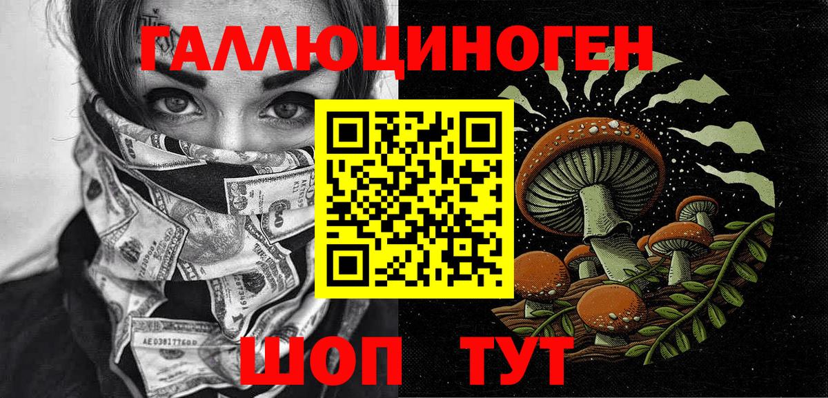Псилоцибиновые грибы мицелий Волоколамск